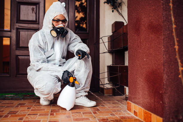 Reliable Wasp Removal contractor in Wilder, KY by Show Me Pest Control